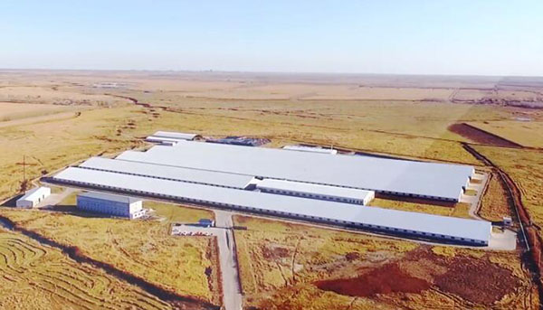 6008集团官方网站(中国)股份有限公司