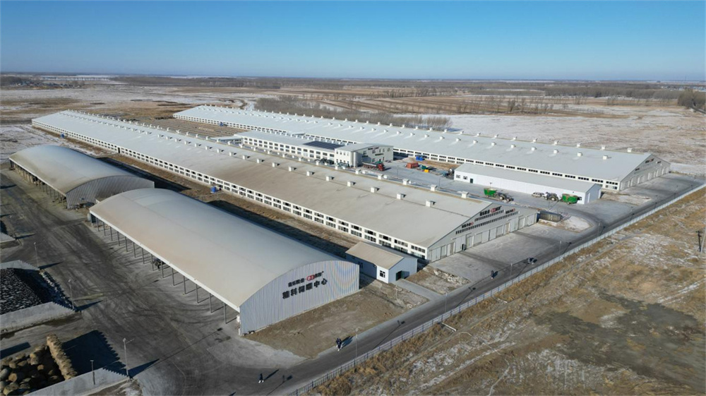 6008集团官方网站(中国)股份有限公司